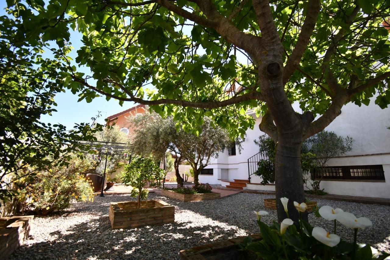 Villa Maria, Piscina Y Spa Exterior Privado Belicena Eksteriør bilde